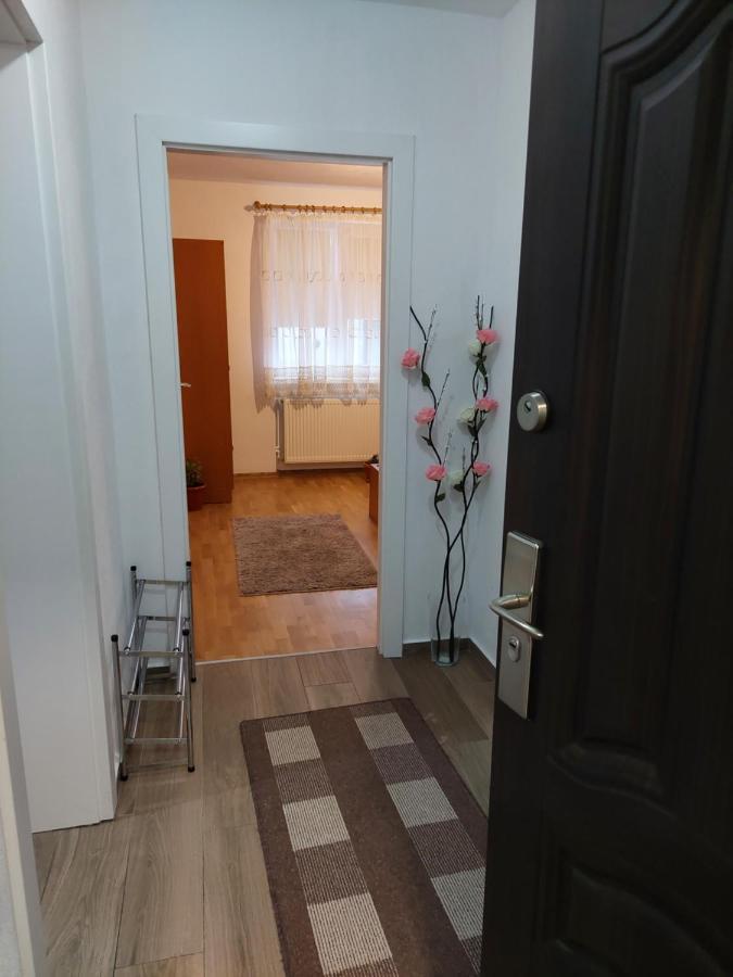 Apartament Ambrus Sighisoara Luaran gambar