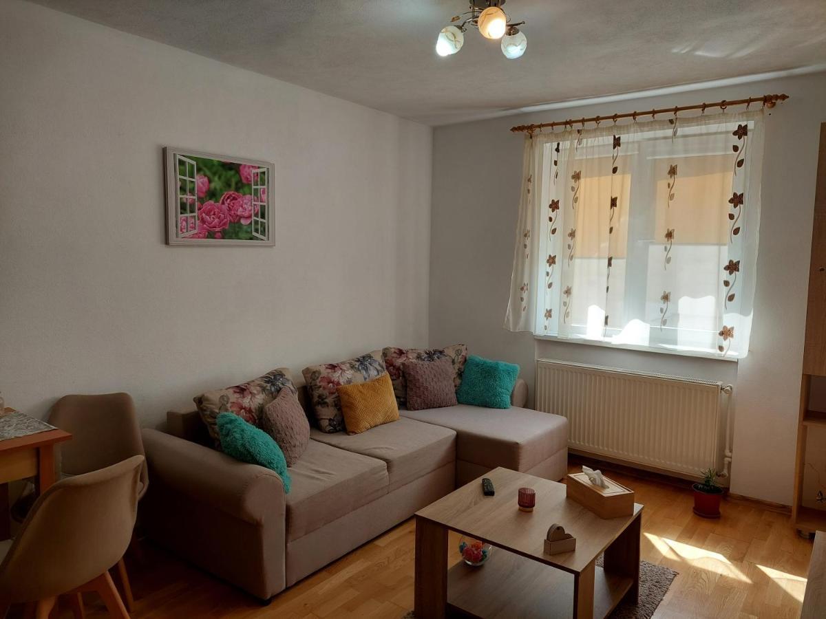 Apartament Ambrus Sighisoara Luaran gambar